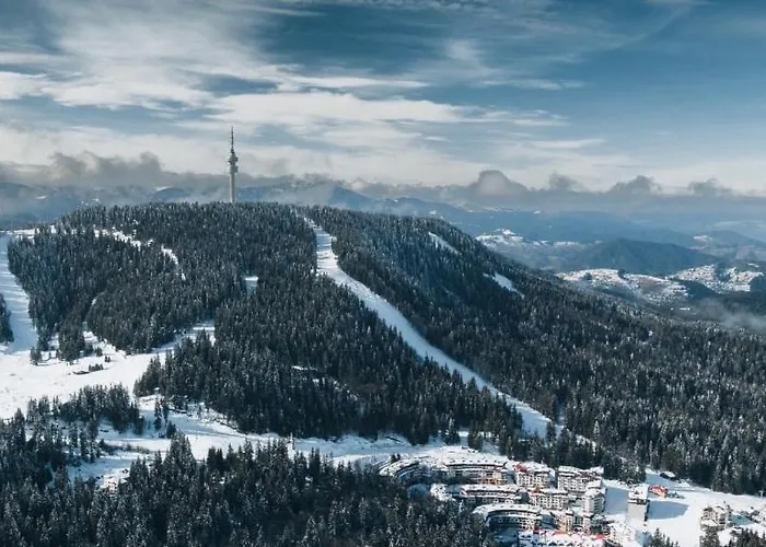 Private In Snezhanka Apartment Pamporovo