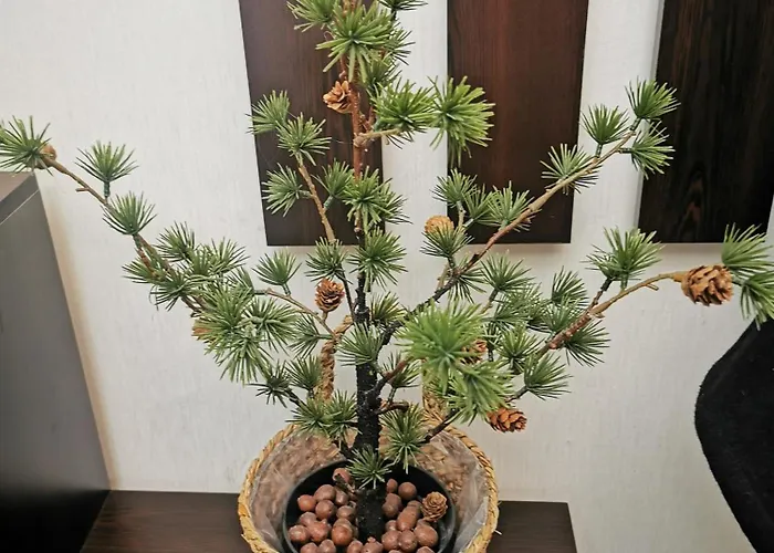 Private In Snezhanka Apartment Pamporovo