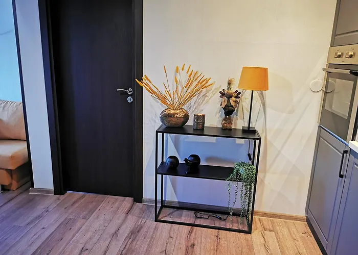 Private In Snezhanka Pamporovo